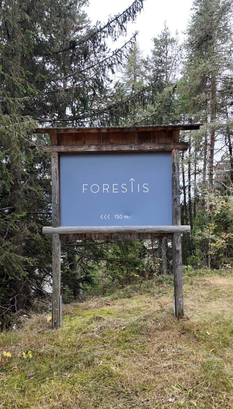 The Forestis sign among the pines, 150 meters from the hotel