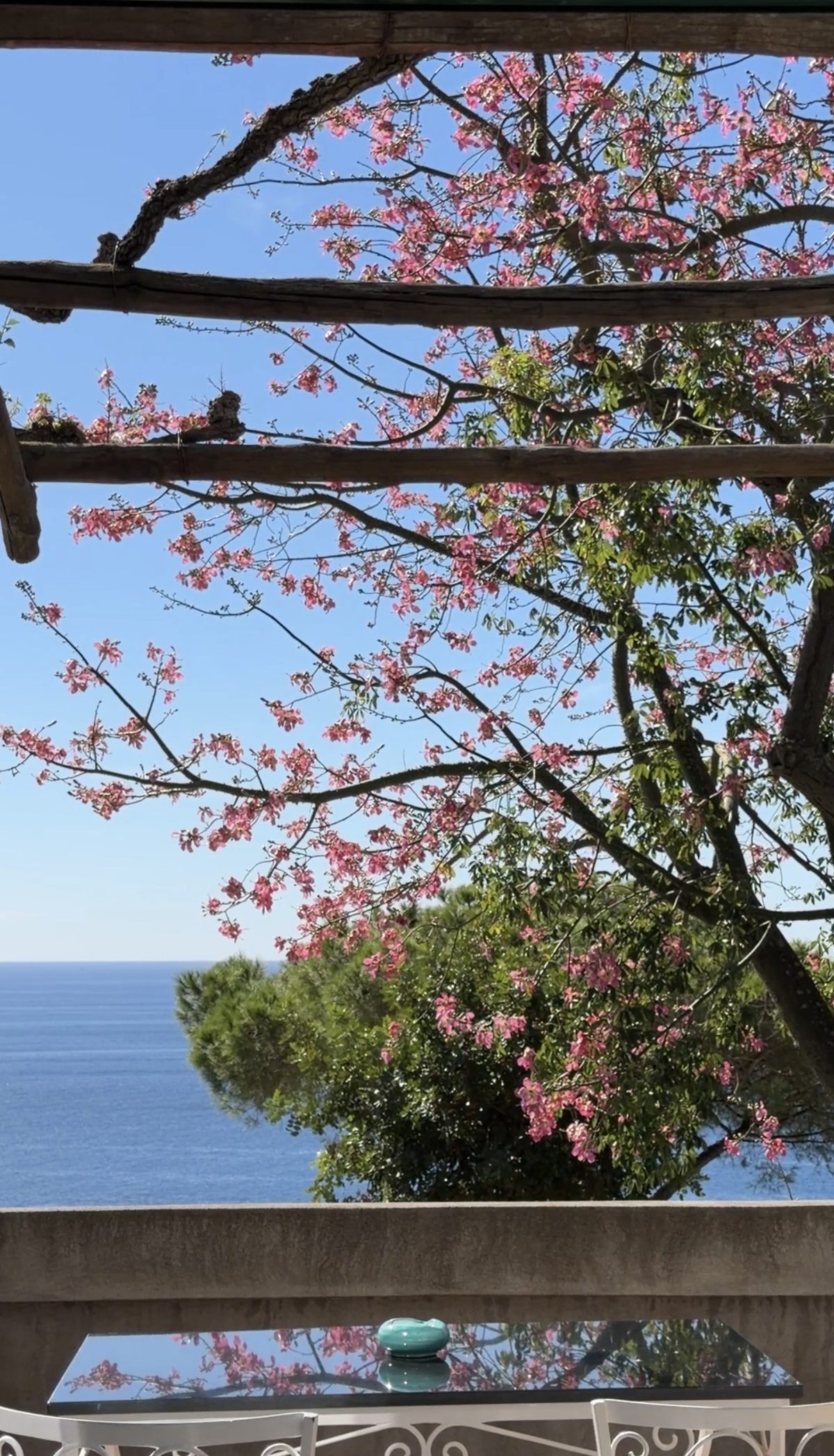 Pink blossoms under a wooden pergola on a terrace, with umbrella pines and the sea beyond