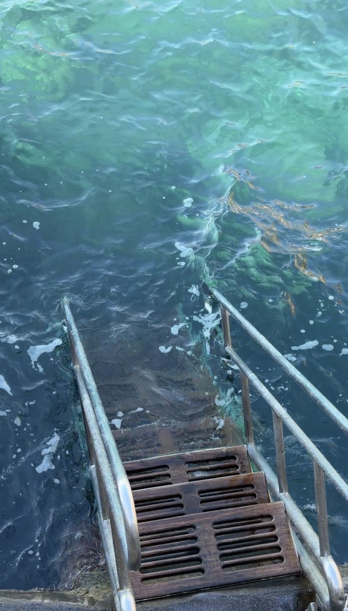 Steps and a steel ladder from the Il San Pietro beach club down into clear green water
