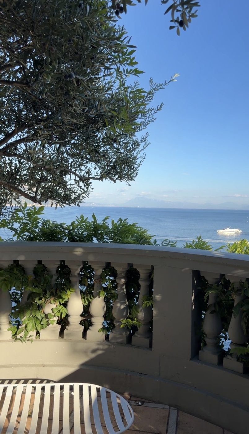 An olive tree over a curved stone balustrade, with the sea and a passing ferry beyond